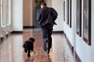Barack Obama: Falleció el perro del expresidente de los Estados Unidos por cáncer