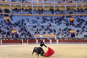 Corridas de toros con público reanudaron en Madrid por primera vez desde la pandemia