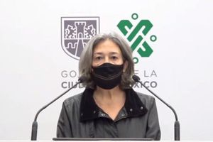 Directora del Metro afirmó que no tenían reportes de afectaciones en la Línea 12