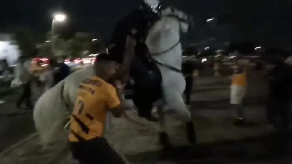 Tigres: Aficionados Felinos denunciaron agresión de policía a un seguidor