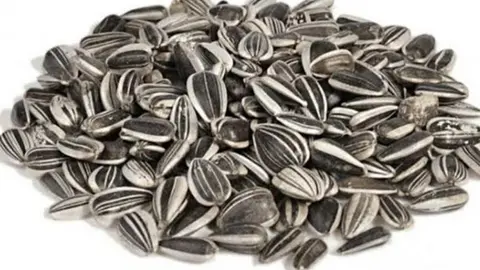Semillas de girasol, excelente aliado en dieta Keto