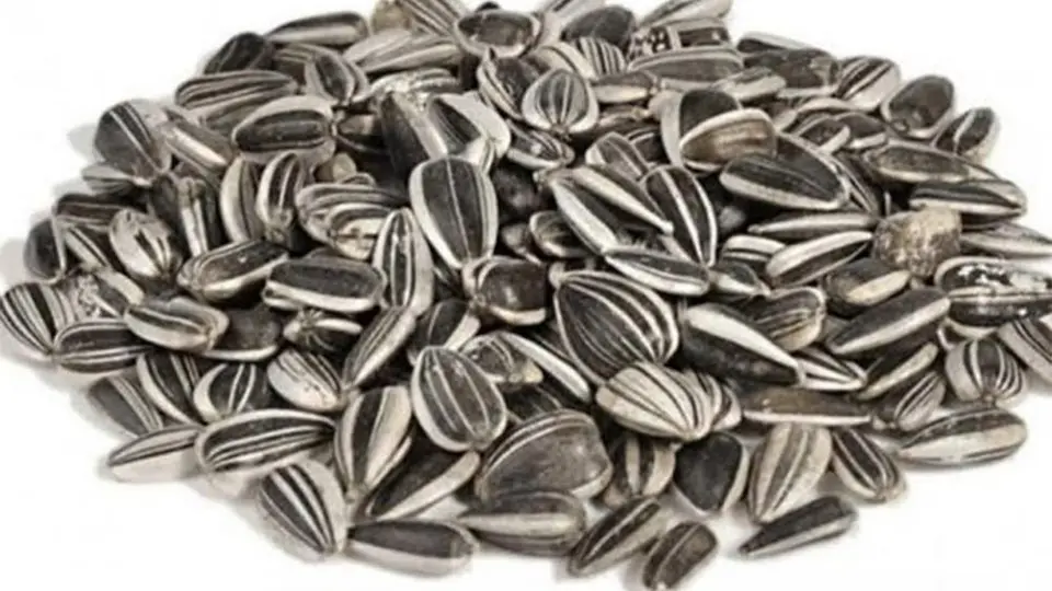 Semillas de girasol, excelente aliado en dieta Keto
