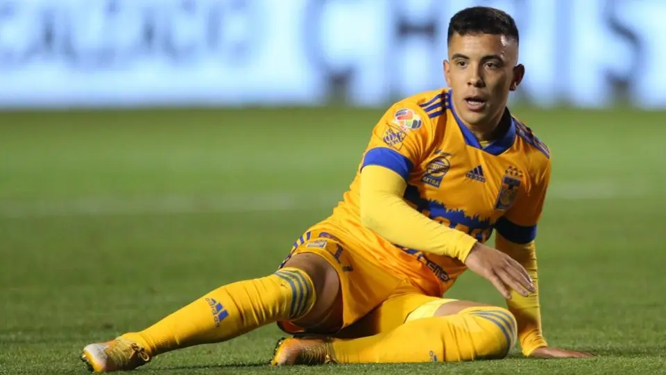 Tigres: Miguel Herrera insinuó que Leo Fernández no entrará en su esquema de juego