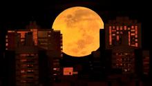 Eclipse total y Superluna: Espectáculo cósmico que dejó impresionantes imágenes
