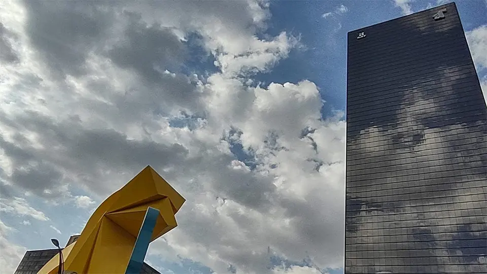 Trabajadores del SAT acusaron falta de pago