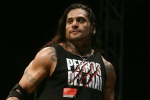 Cibernético: Pidió retiro de licencia a Einar el Vikingo, luchador que atacó a niño