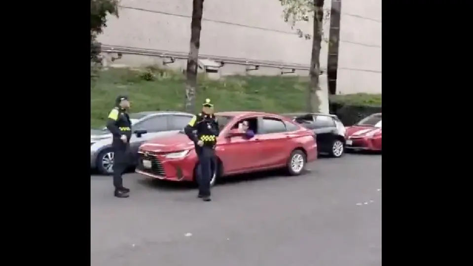 Lo que comenzó como una infracción por estacionarse en doble fila terminó con una mujer detenida / Especial