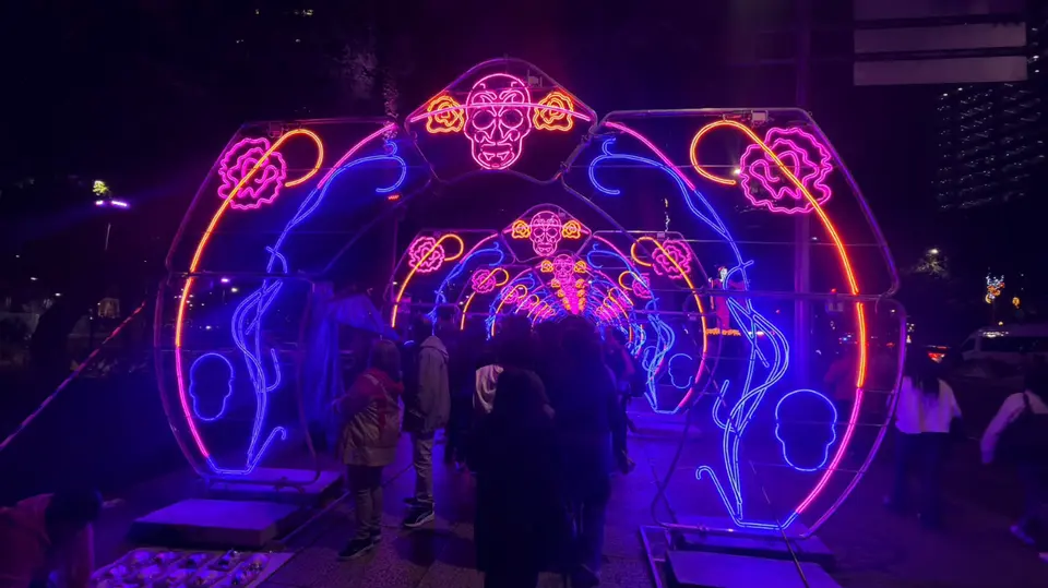 Figuras luminosas llenan de color la CDMX. / Georgina Sánchez
