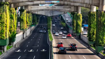 Hoy No Circula sábado 24 de octubre: ¿qué autos no circulan en CDMX y Edomex?