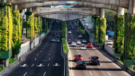 Hoy No Circula sábado 24 de octubre: ¿qué autos no circulan en CDMX y Edomex?