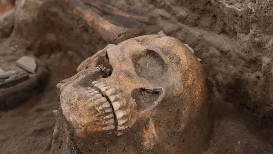 El hallazgo incluye cráneos, huesos largos y objetos rituales de la antigua civilización tolteca. / INAH