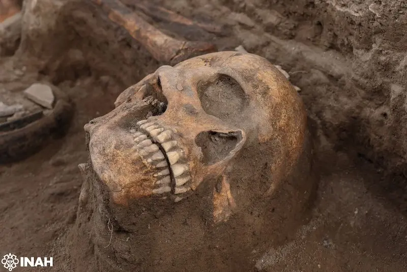 El hallazgo incluye cráneos, huesos largos y objetos rituales de la antigua civilización tolteca. / INAH