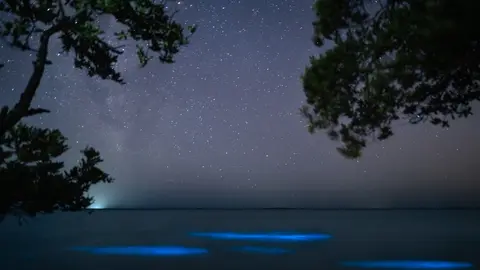 Holbox, Quintana Roo | ESPECIAL