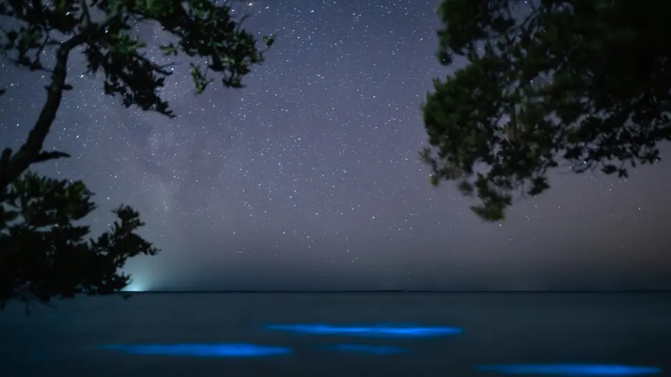 Holbox, Quintana Roo | ESPECIAL