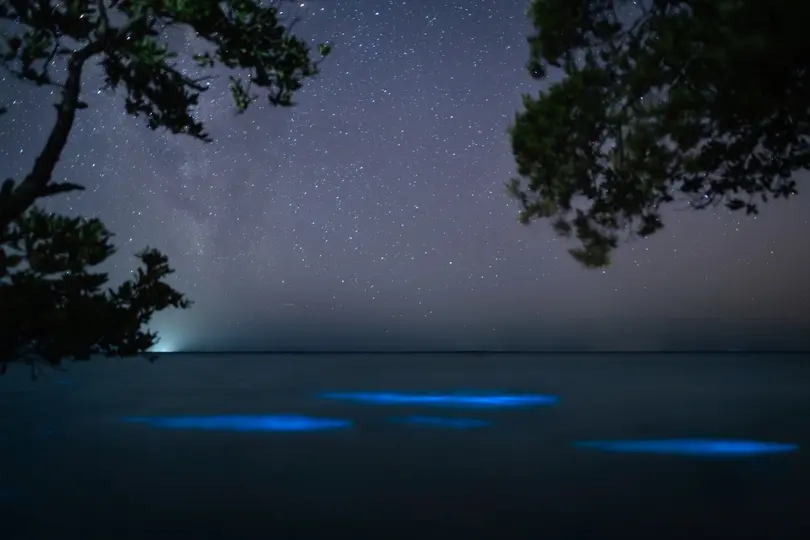 Holbox, Quintana Roo | ESPECIAL