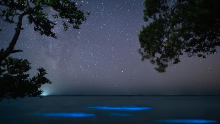 Holbox, Quintana Roo | ESPECIAL