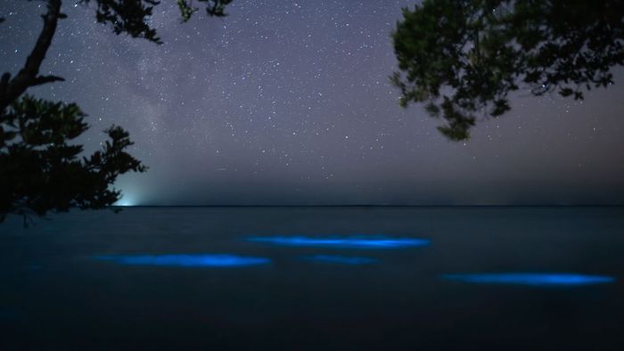 Holbox, Quintana Roo | ESPECIAL