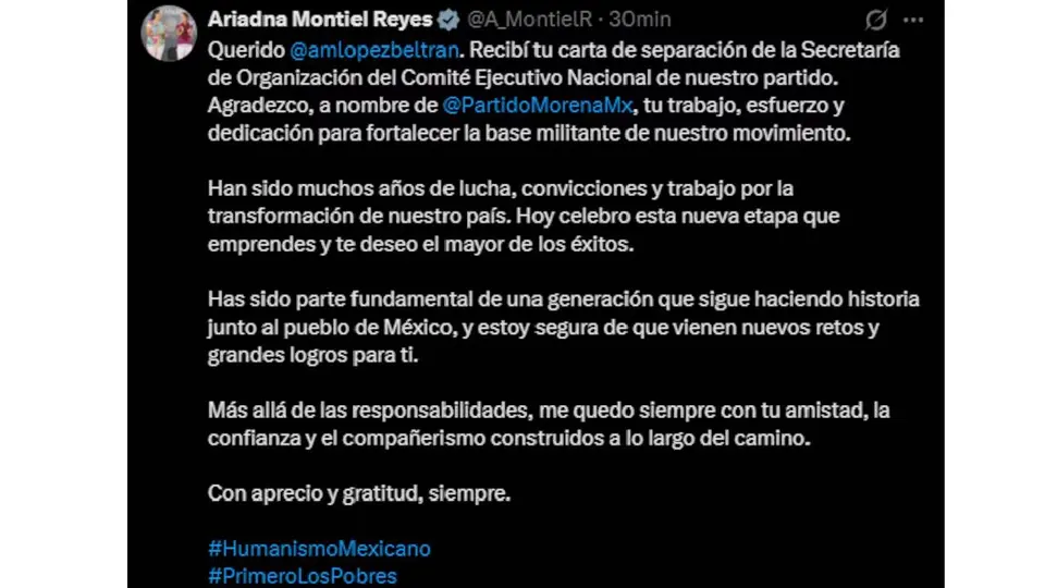 Ariadna Montiel Reyes recibió la carta de separación de Andy López Beltrán de la dirigencia nacional de Morena./ Captura de pantalla