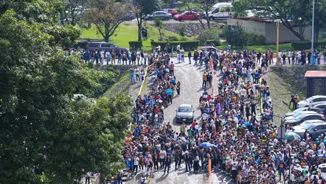 Falsificadores intentan entrar al Estadio Olímpico Universitario sin éxito