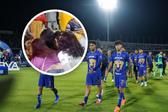 ¡Imágenes sensibles! Aficionada es golpeada por aficionados de los Pumas en CU