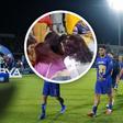¡Imágenes sensibles! Aficionada es golpeada por aficionados de los Pumas en CU