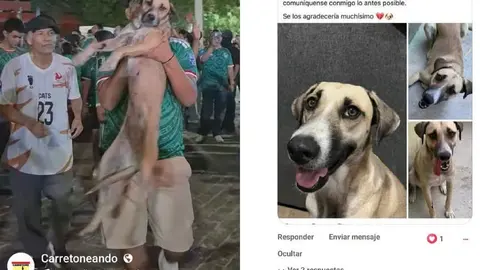 CAPTURA DE PANTALLA