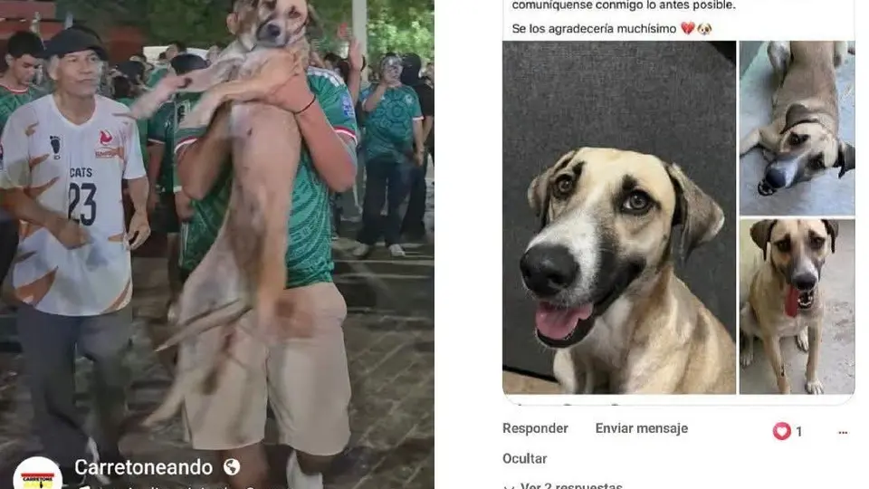 CAPTURA DE PANTALLA