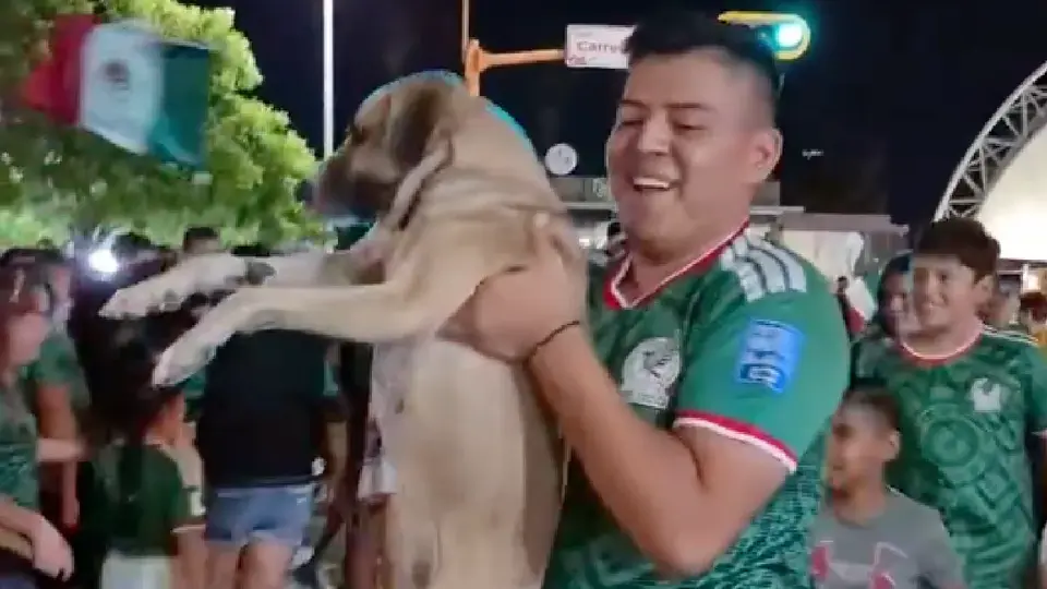 Perrita desaparecida se reencuentra con su familia tras festejos de México en el Mundial 2026