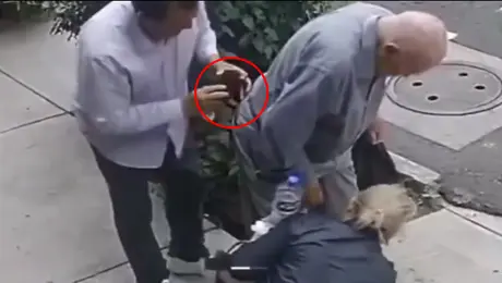 VIDEO: La mancha de mostaza, la nueva estafa contra adultos mayores