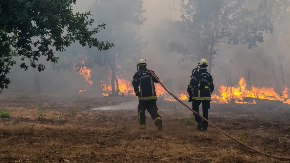 España y Francia no pueden controlar los incendios que azotan varias de sus comunidades / AP