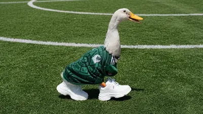 Pato Merlín lanza sus tenis oficiales: precios, modelos y dónde comprarlos