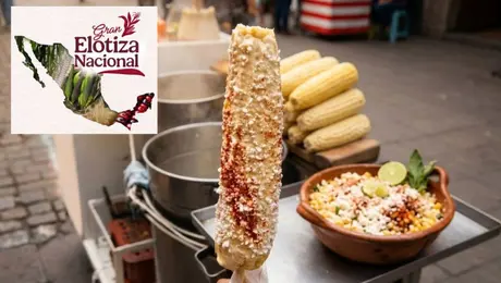 Gran Elotiza Nacional llega al Zócalo de CDMX: fecha, horario y qué podrás comer