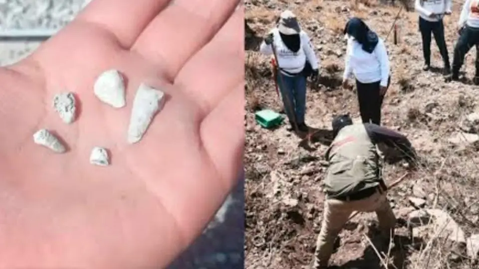 Fiscalía de Michoacán niega registro de supuesto hallazgo de 1,600 dientes de niños en Zacapu