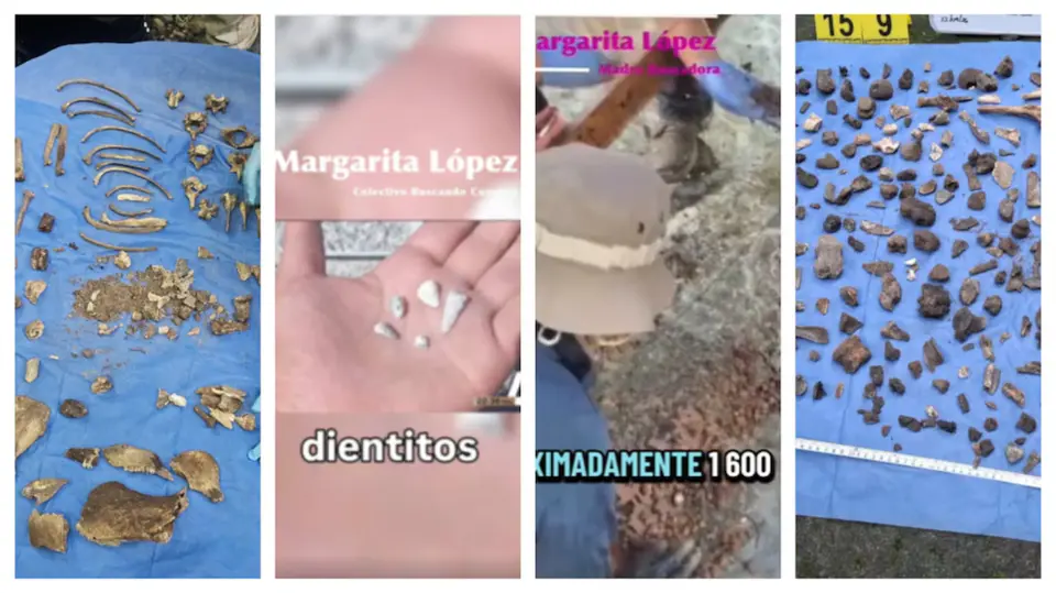 El colectivo reportó el presunto hallazgo de alrededor de 1,600 piezas dentales en Zacapu. / Colectivo Buscando cuerpos