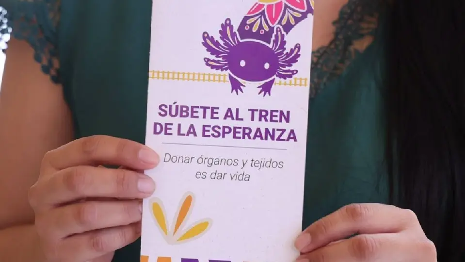 Más de 3 mil personas permanecen en espera de un órgano o tejido en hospitales ubicados en la Ciudad de México / Especial