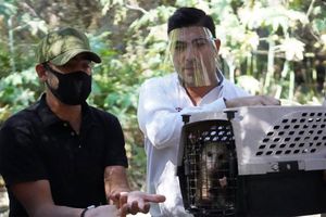 Alcalde Armando Ayala Robles consolidó compromiso de crear refugio animal