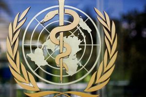 Covid-19: OMS confirmó que el coronavirus está mutando menos rápido que la influenza