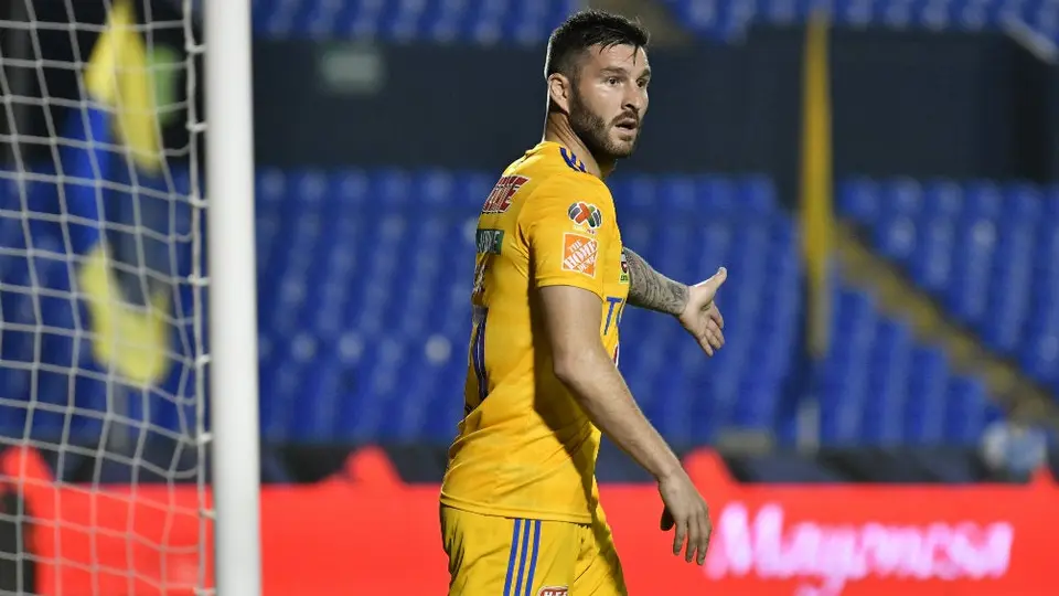 Gignac 'presumió' su gimnasio con murales de Muhammad Ali