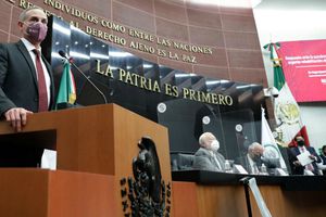 López-Gatell: Se suspendió comparecencia del subsecretario de salud en el Senado por críticas