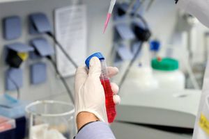 México confirmó participación en plan mundial de acceso a vacuna contra Covid-19