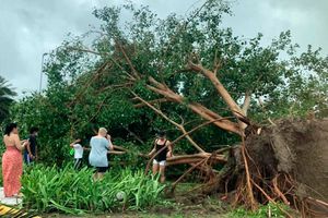 Huracán Delta: Así fue el paso de la tormenta por Cancún