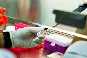 Cofepris: Denunció robo de más de 37 mil medicamentos para pacientes con cáncer