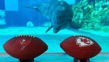 Super Bowl LV: Delfín pronostica que Chiefs ganará el Súper Tazón