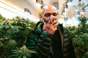 Mike Tyson y la fortuna que gana por vender marihuana