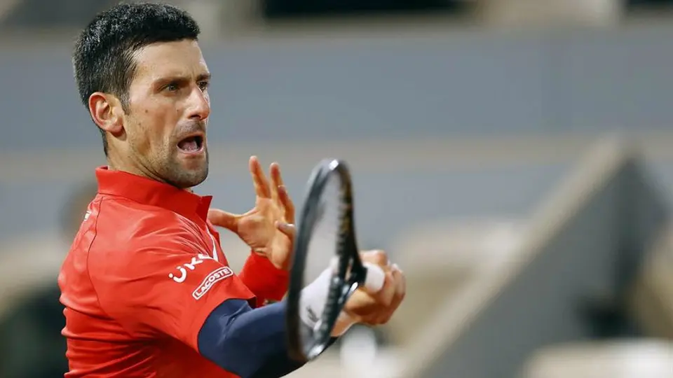 Video: Djokovic volvió a darle un pelotazo a un juez de línea