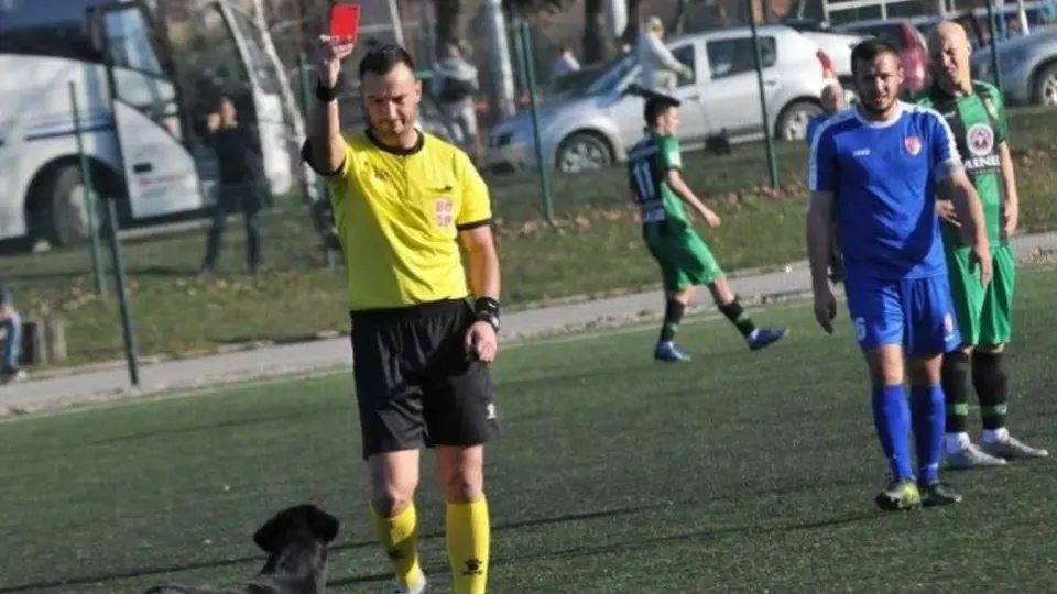 Árbitro mostró la tarjeta roja y expulsó a un perro tras constante invasión