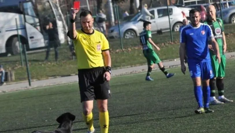 Árbitro mostró la tarjeta roja y expulsó a un perro tras constante invasión