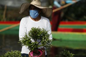 México alcanzó 568 mil 621 infectados de coronavirus; muertes ascienden a 61 mil 450