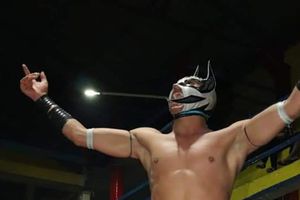'Príncipe Aéreo' murió en plena función de lucha libre
