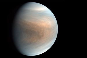 Fosfina en Venus: Hallaron indicios de potencial de vida en atmósfera de Venus